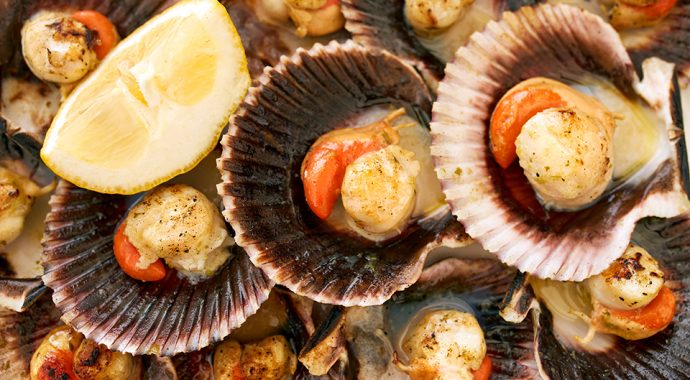 La Coquille Saint-Jacques