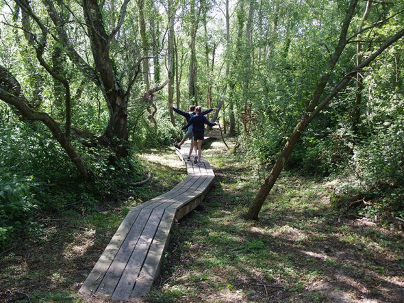 La Faune et la Flore à Camiers-Sainte Cécile