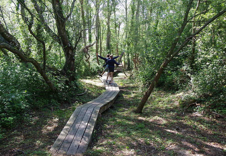 La Faune et la Flore à Camiers-Sainte Cécile