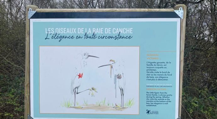 Les Oiseaux de la Baie de Canche