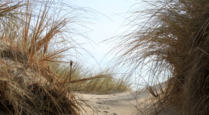 Vacances de février 2025
