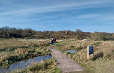 Balade nature en partenariat avec le Conservatoire d&rsquo;Espaces Naturels Vie nocturne et biodiversité
