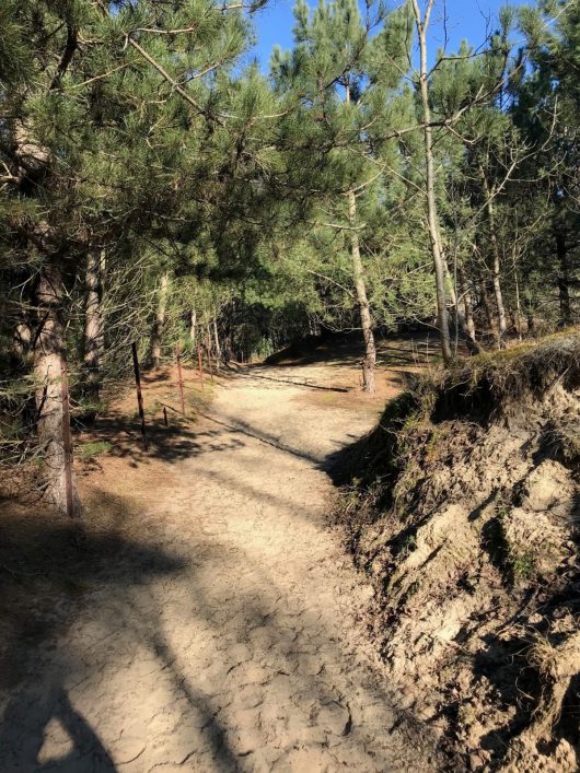 baie-de-canche-2-claire-1