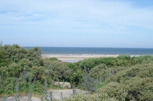 baie-de-canche