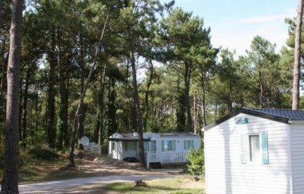 Camping de la Dune Blanche