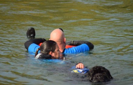 Démonstration de chiens sauveteurs aquatiques