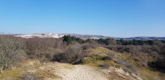 dunes-de-sainte-cecile-stephanie