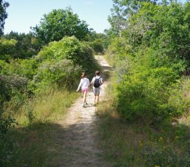 LE SENTIER DES DUNES DE SAINTE CECILE