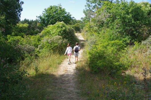 dunes-st-cecile-5