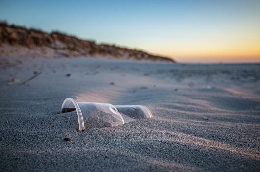 hamsterfreund-beach-5697987-1280