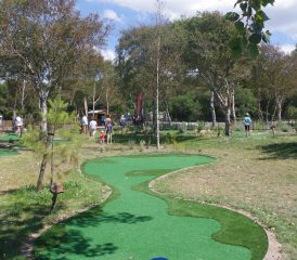 Mini Golf