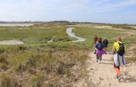 Balade : rencontre avec la nature