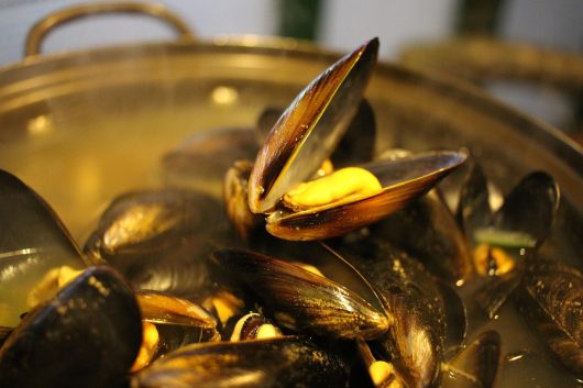 mussel-soup-678142-1280
