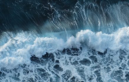 JOURNEE MONDIALE DE L’OCEAN