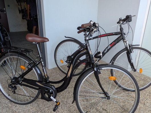 pxl-20250805-083323079-2