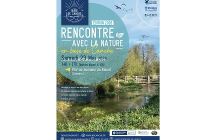 Rencontre avec la nature en Baie de Canche