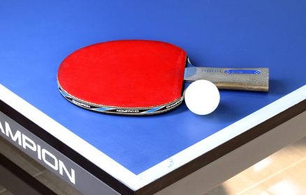 Animation Tennis de Table